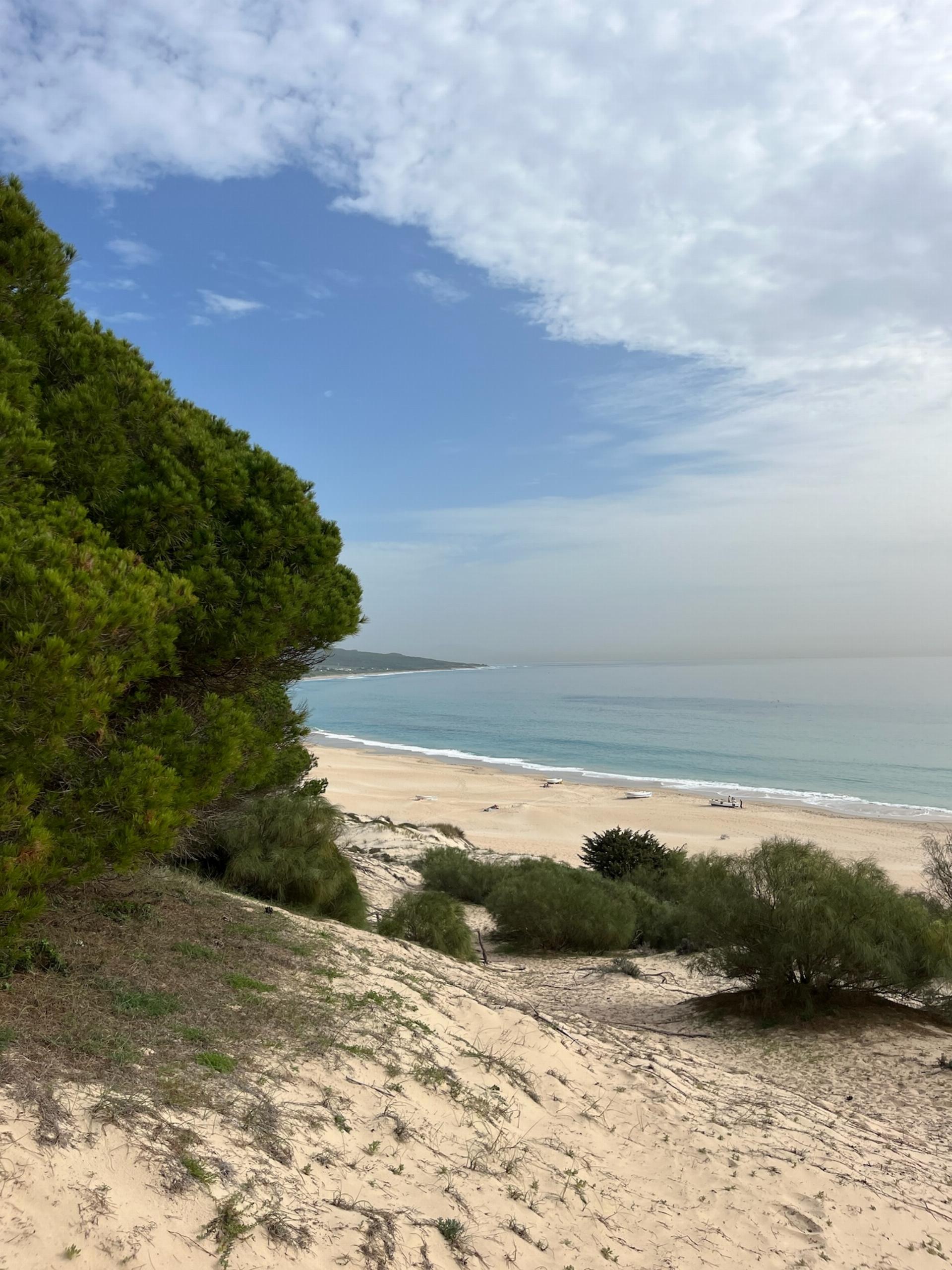 Coastal Colivings in Spain
